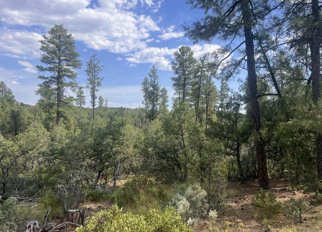 Property at 0000 N Mistletoe Lot Q, Pine, AZ 85544