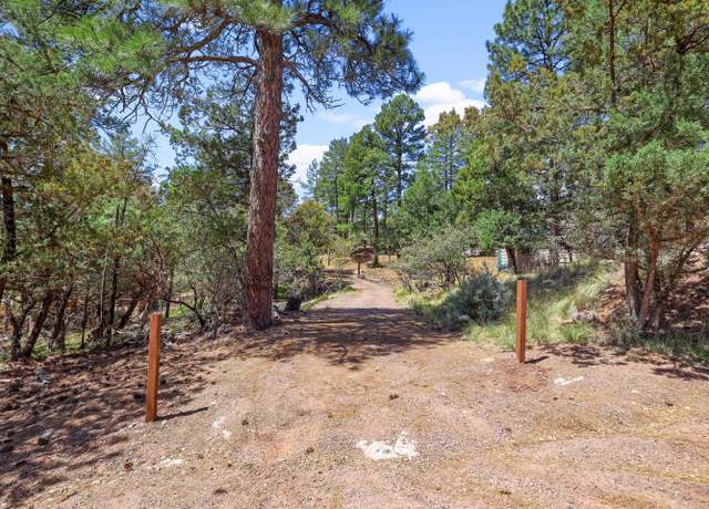 Property at 3429 N Hillside Dr, Pine, AZ 85544