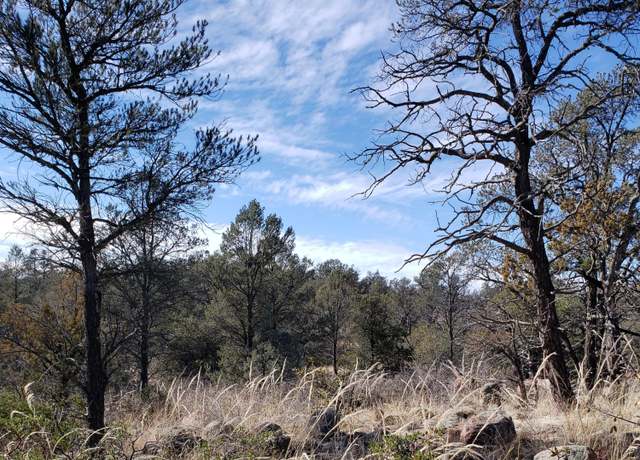 Property at 4R-3 N Ike Clark Pkwy, Young, AZ 85554