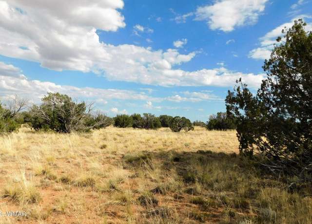 Property at 1306 Serendipity Dr, Heber, AZ 85928