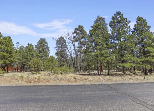 Property at 1755 Sugar Pine Dr, Happy Jack, AZ 86024