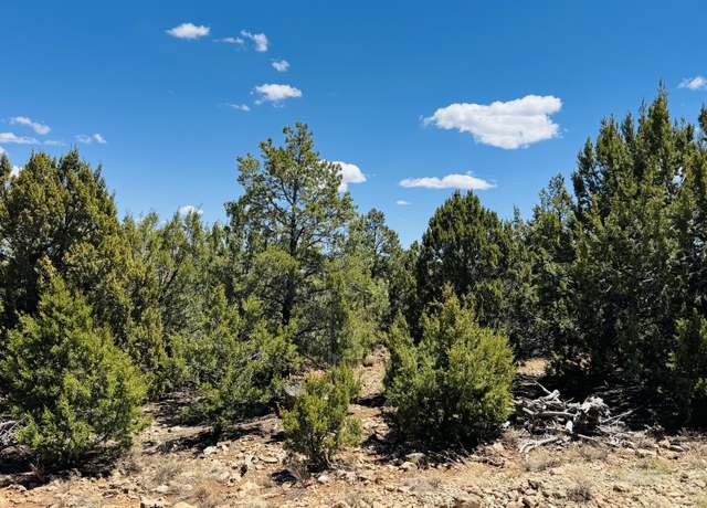 Property at 3585 Meadow Wood Dr, Happy Jack, AZ 86024