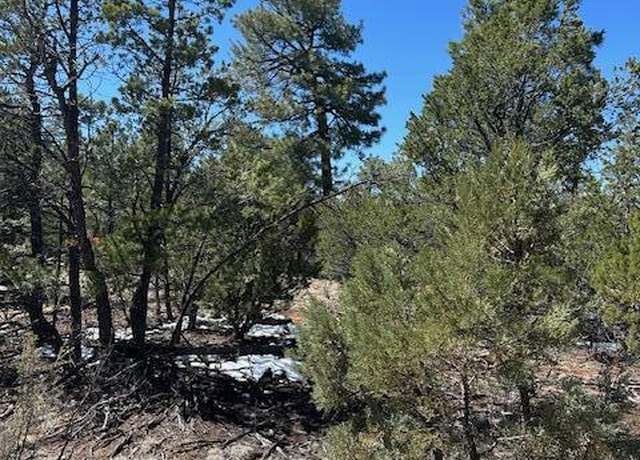 Property at 7720 Mogollon Trl, Happy Jack, AZ 86024