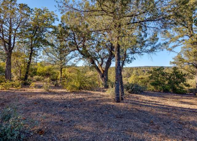 Property at 203 S Rim Club Dr, Payson, AZ 85541