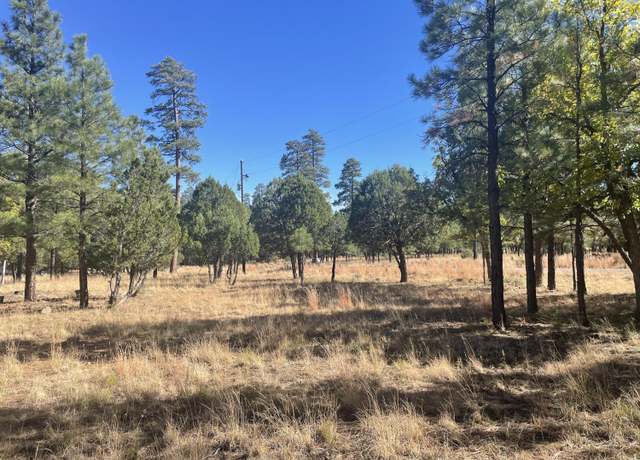 Property at 5183 Taos Cir, Happy Jack, AZ 86024