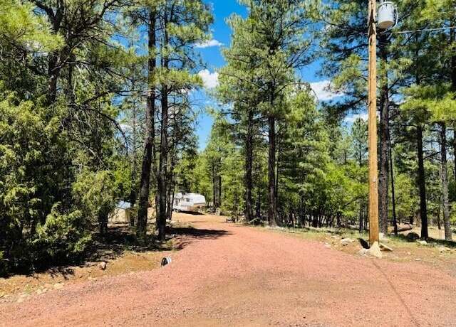 Property at 785 Caballo Cir, Happy Jack, AZ 86024