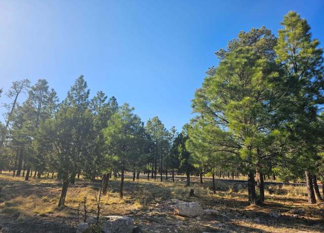 Property at 1608 Woodside Pl, Happy Jack, AZ 86024