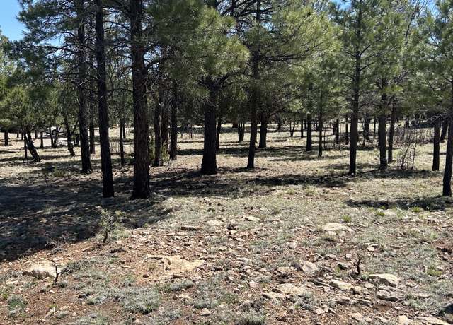 Property at 4783 Horseshoe Dr, Happy Jack, AZ 86024