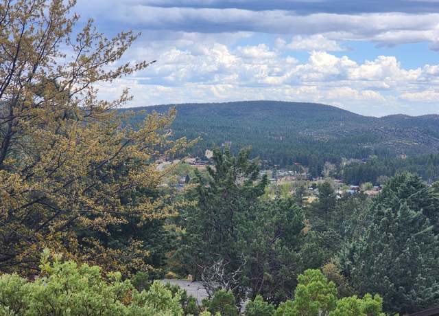 Property at 148 Buffalo Run, Pine, AZ 85544