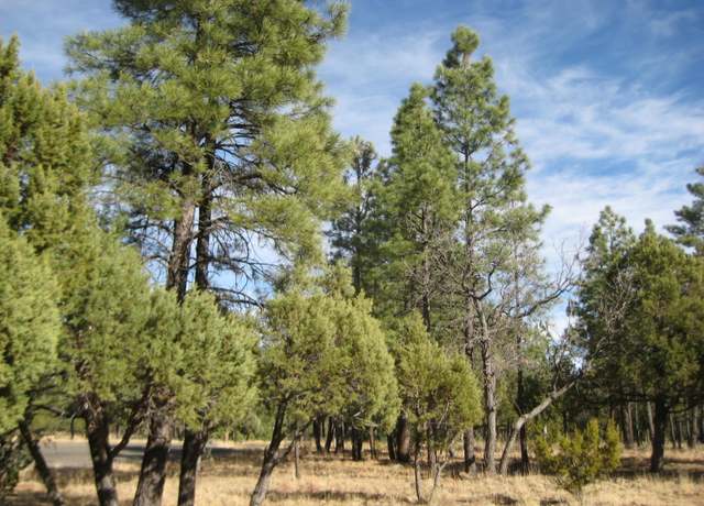 Property at 2841 Desert Rose Cir, Happy Jack, AZ 86024