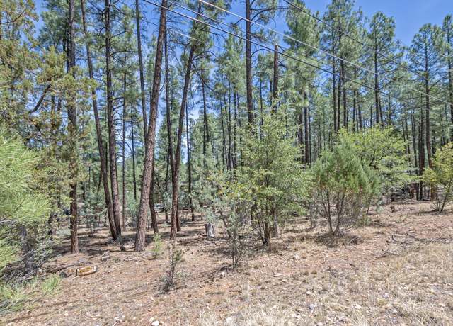 Property at lot 138 Marcy Way, Pine, AZ 85544