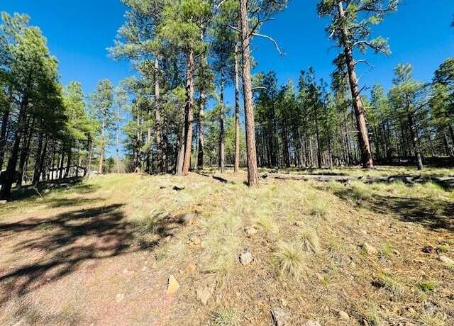 Property at 2549 Pine Valley Rd, Happy Jack, AZ 86024