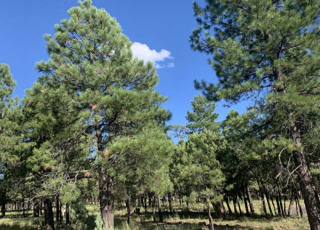 Property at 2391 Woody Pine Dr, Happy Jack, AZ 86024