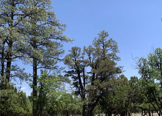 Property at 4083 Durango Dr, Happy Jack, AZ 86024
