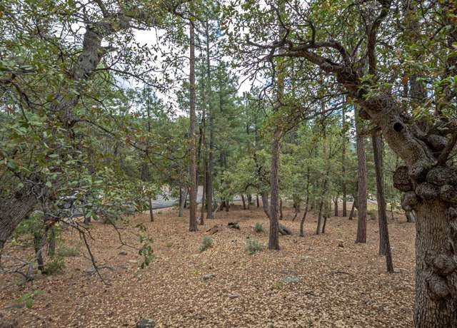 Property at 98 W Trails End, Pine, AZ 85544