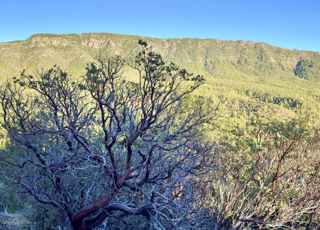Property at 132 N Knob Hl, Pine, AZ 85544