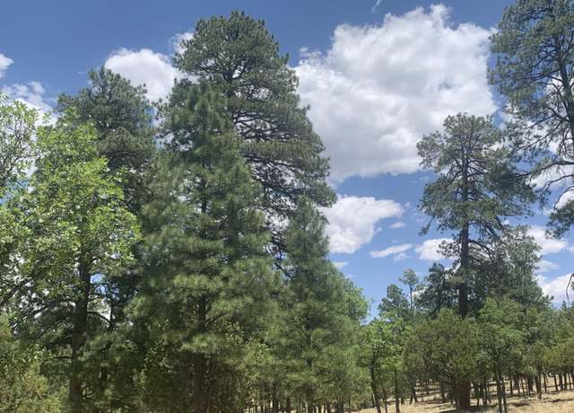 Property at 2477 Ruidoso Dr, Happy Jack, AZ 86024