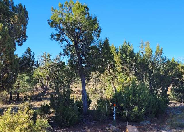 Property at 4083 Sunset Ridge Loop, Happy Jack, AZ 86024