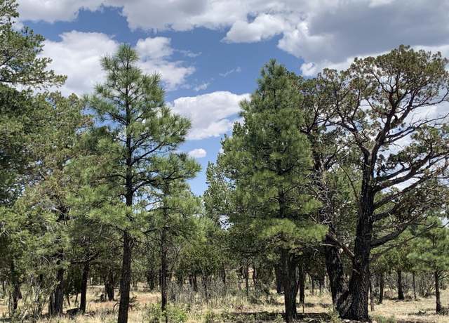 Property at 3822 Durango Dr, Happy Jack, AZ 86024