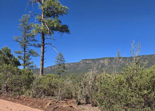 Property at Parcel 1 N Hwy 87, Pine, AZ 85544