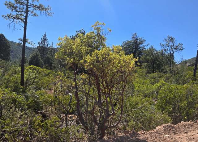 Property at Parcel 2 N Hwy 87, Pine, AZ 85544