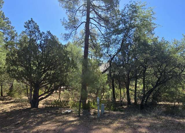 Property at 2511 E Pine Island Ln, Payson, AZ 85541