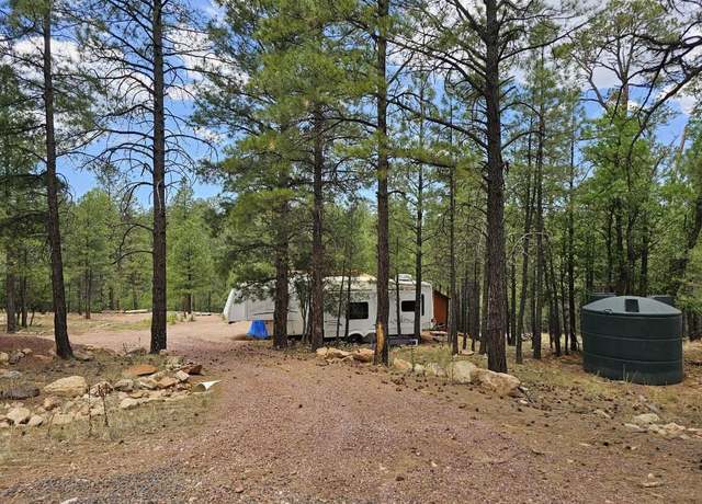 Property at 2816 Canyon View Dr Dr, Happy Jack, AZ 86024