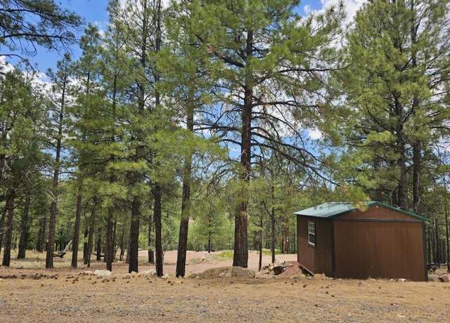 Property at 2816 Canyon View Dr, Happy Jack, AZ 86024