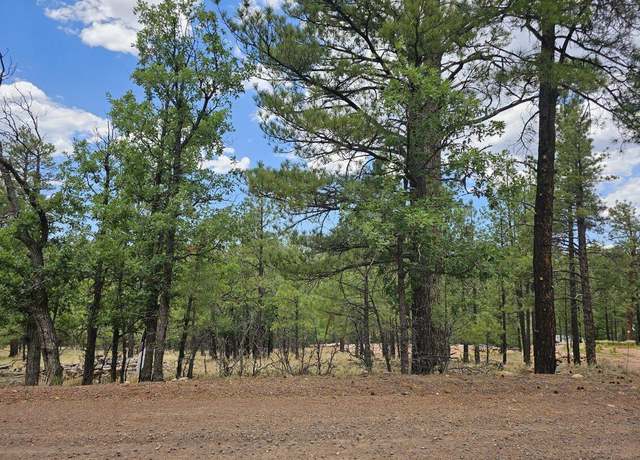Property at 2788 Canyon View Dr Dr, Happy Jack, AZ 86024
