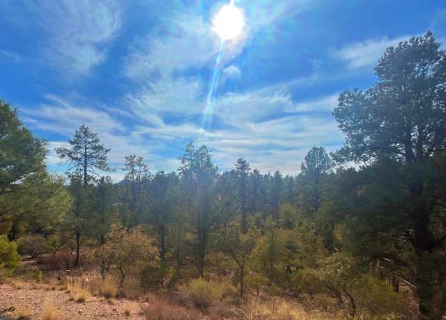 Property at 505 N Grapevine Dr, Payson, AZ 85541