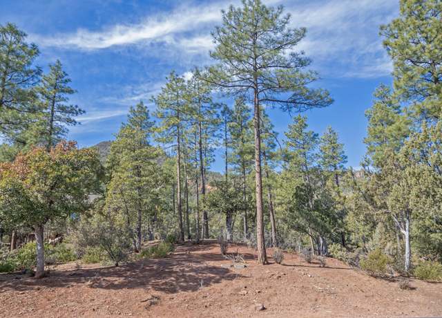 Property at 57 Forest Trail Ct, Pine, AZ 85544