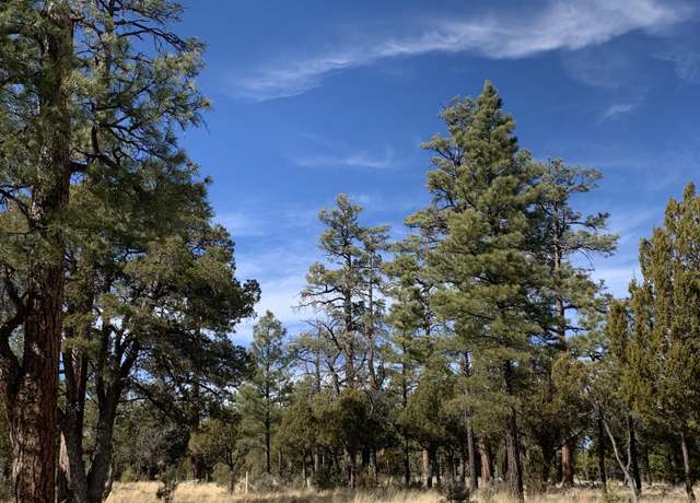 Property at 4871 Bald Eagle Way, Happy Jack, AZ 86024