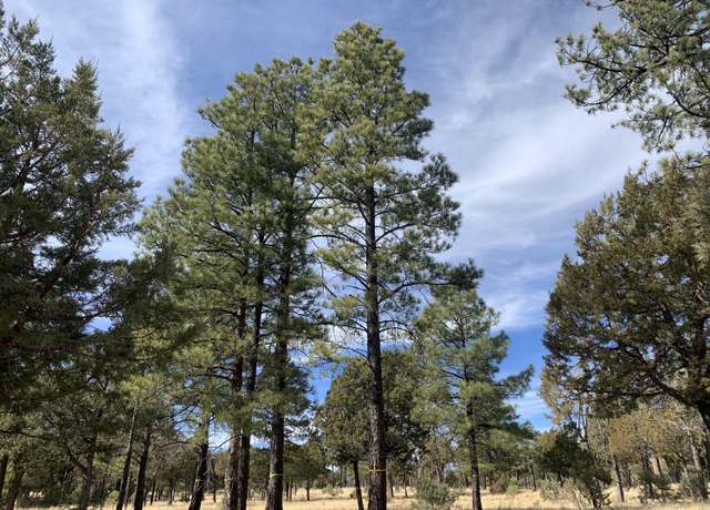Property at 4871 Bald Eagle Way, Happy Jack, AZ 86024