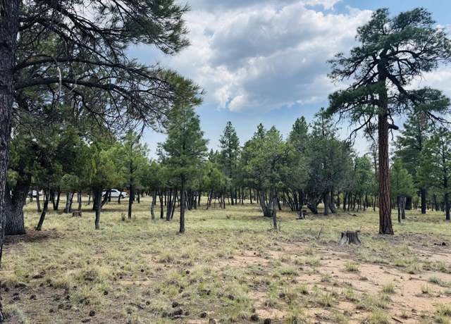Property at 3236 Durango Dr, Happy Jack, AZ 86024