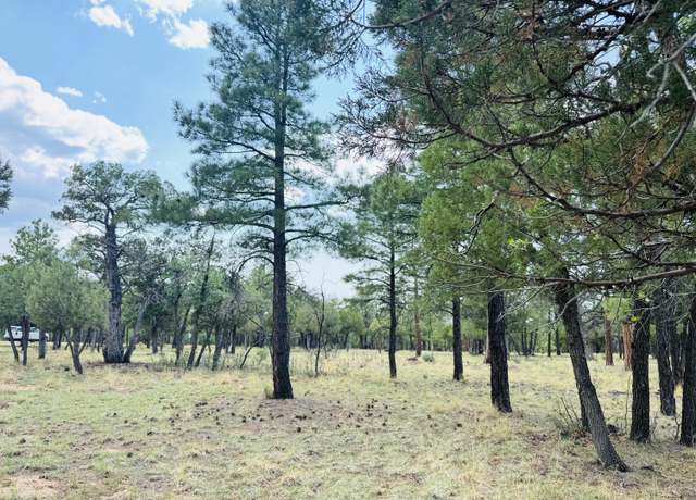 Property at 3266 Durango Dr, Happy Jack, AZ 86024