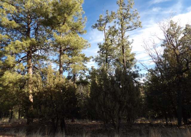Property at 995 Eagle View Dr, Happy Jack, AZ 86024