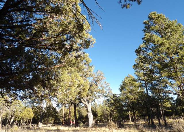Property at 2570 Kettle Way, Happy Jack, AZ 86024
