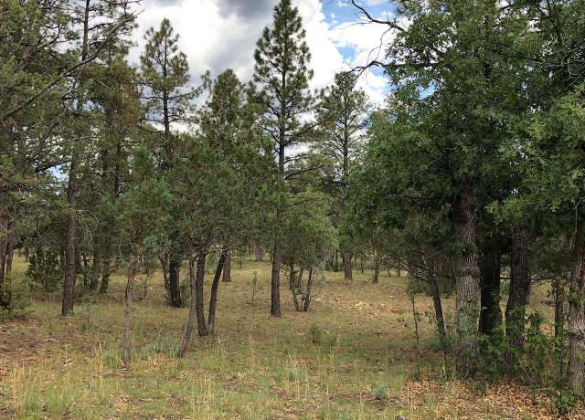 Property at 2513 Pine Crest Dr, Happy Jack, AZ 86024