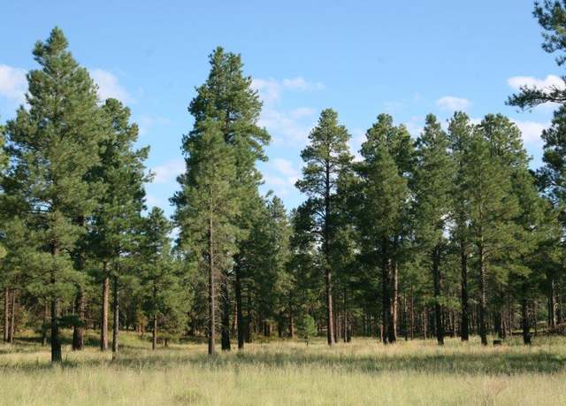 Property at 7337 Forest Service 122 Rd, Happy Jack, AZ 86024