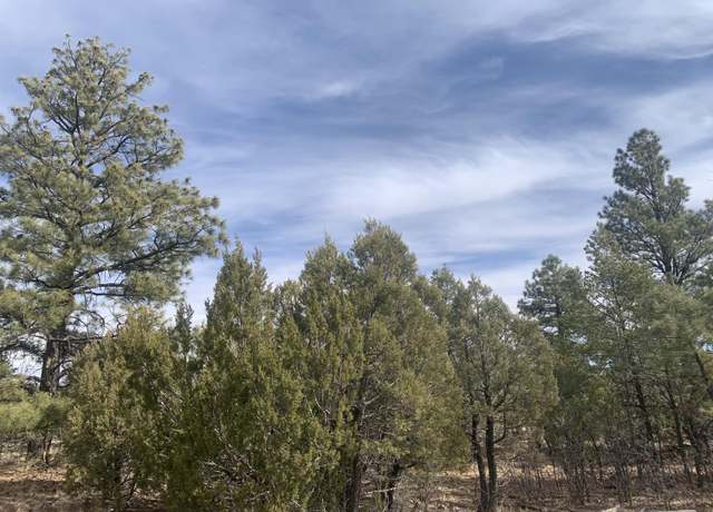Property at 7785 Mogollon Trl, Happy Jack, AZ 86024