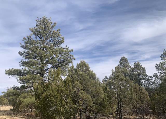 Property at 7785 Mogollon Trl, Happy Jack, AZ 86024