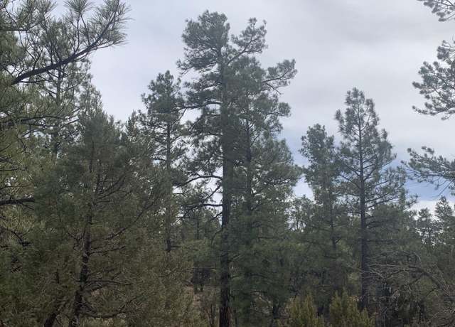 Property at 4897 Sunset Rdg Lp Loop, Happy Jack, AZ 86024