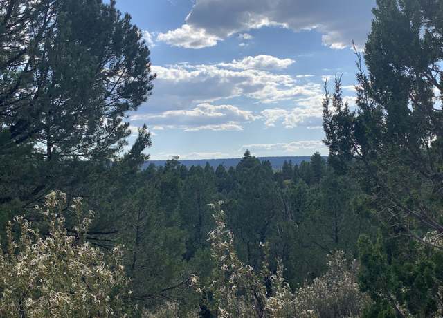 Property at 740 Ceremony Ln, Happy Jack, AZ 86024