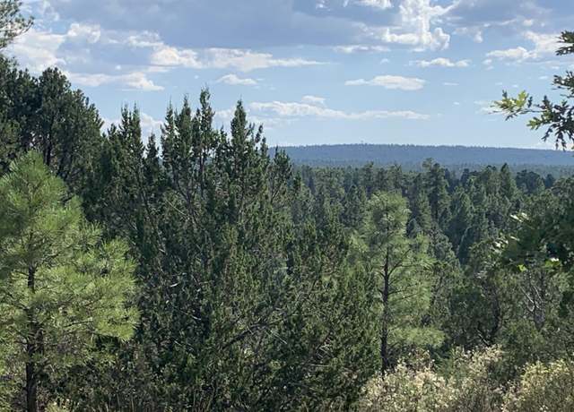 Property at 740 Ceremony Ln, Happy Jack, AZ 86024