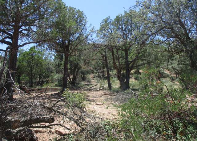 Property at 1208 W Rim Dr, Payson, AZ 85541