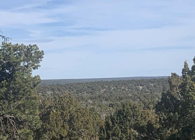 Property at 4035 Sunset Rdg Lp Loop, Happy Jack, AZ 86024
