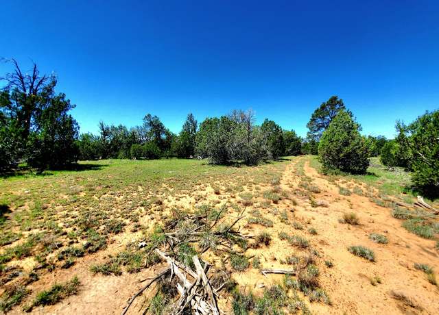 Property at 8571 Haven Crest Dr, Happy Jack, AZ 86024
