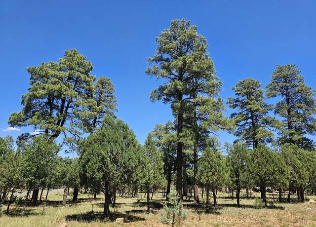 Property at 2367 Deer Path Path, Happy Jack, AZ 86024
