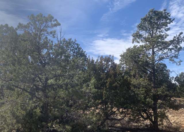 Property at 3914 Sunset Rdg Lp Loop, Happy Jack, AZ 86024