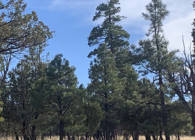 Property at 2321 San Juan Dr, Happy Jack, AZ 86024